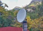 ant1.webp