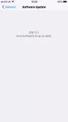 06B206EB-E09F-4370-B9CB-6A39B3E38FAC.webp
