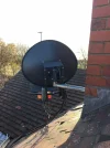 Dish.webp