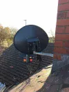 Dish.webp