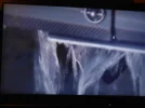 DSCN2305.webp