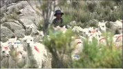 DAKAR_TV1_2018_12_4.webp