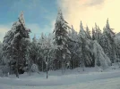 snow 17 jan2018 (2).webp snow 17 jan2018 (2).webp