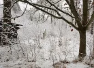 x20180120_084636.webp x20180120_084636.webp