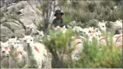 DAKAR_TV1_2018_12_4.webp