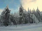 snow 17 jan2018 (2).webp snow 17 jan2018 (2).webp