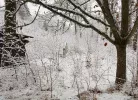x20180120_084636.webp x20180120_084636.webp