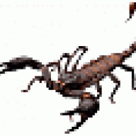 skorpion_28