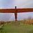 dasteelman