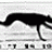 canine